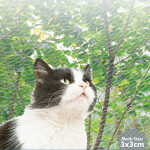 PAWISE Δίχτυ Ασφαλείας Μπαλκονιού Διάφανο 8x3m