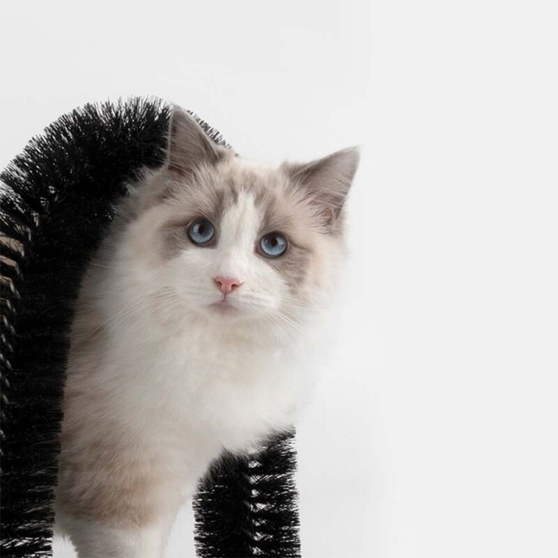 PAWISE Ονυχοδρόμιο Περιποίησης 36x28x36cm