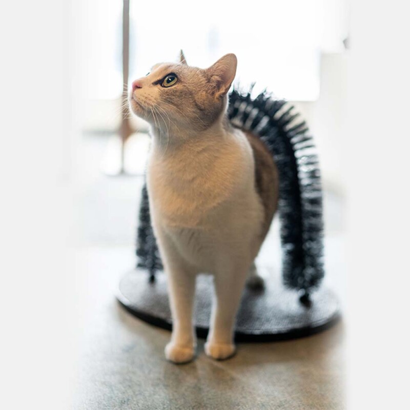 PAWISE Ονυχοδρόμιο Περιποίησης 36x28x36cm