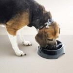 SAVIC Slow Down Mix Χρωμάτων 1,1lt