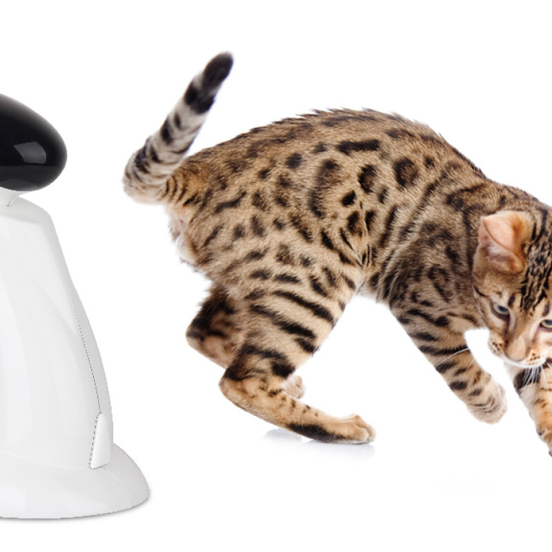 AFP Παιχνίδι Γάτας Laser