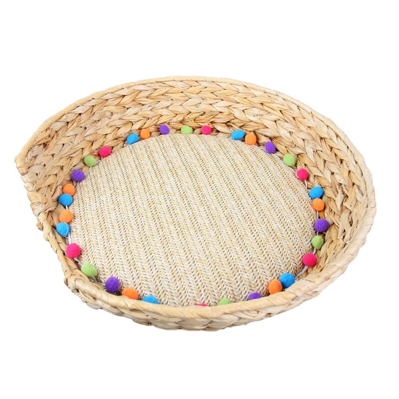 AFP Ονυχοδρόμιο Wisker Fiasta Cactus Tree