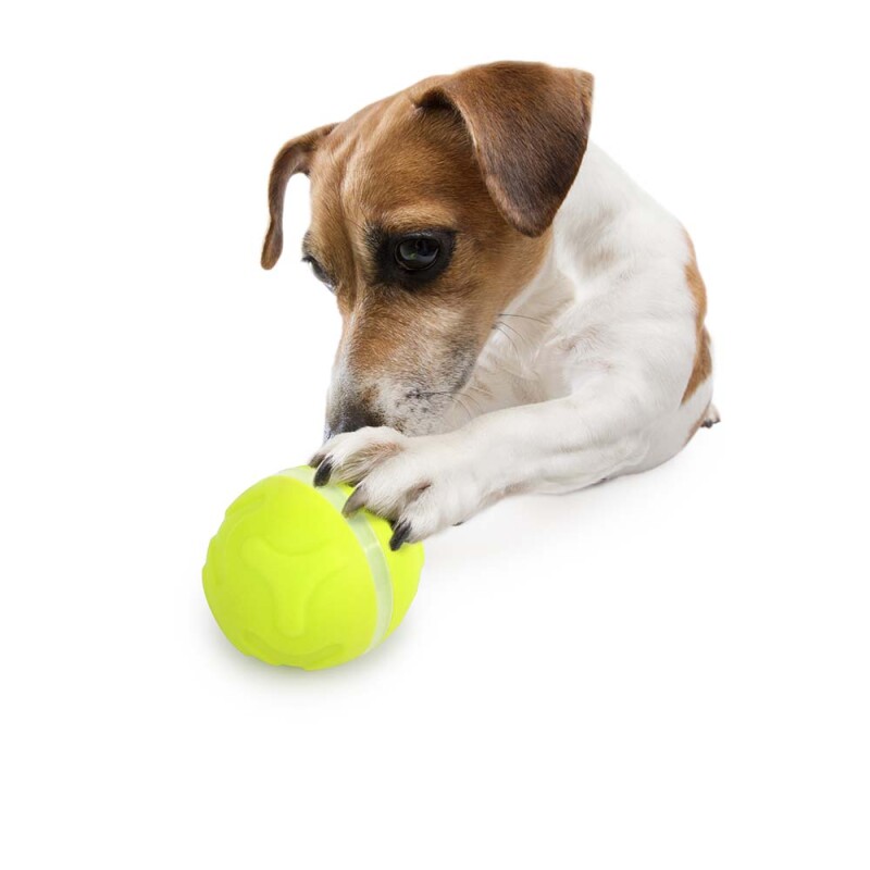 AFP Παιχνίδι Σκύλου Interactive Lucky Tret Dispenser with Rolling Ball