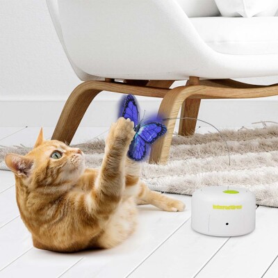 AFP Εκπαιδευτικό Παιχνίδι Γάτας Motion activated butterfly