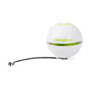 AFP Εκπαιδευτικό Παιχνίδι Γάτας Interactive Rolling Laser Ball