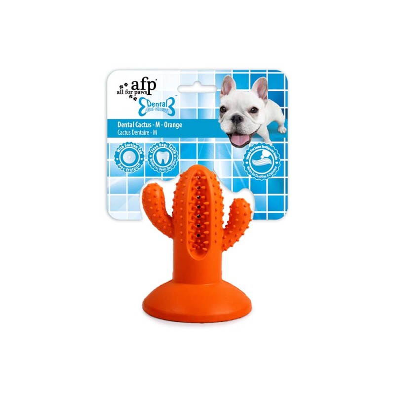 AFP Παιχνίδι Σκύλου οδοντικής φροντίδας Cactus Rubber M Πορτοκαλί
