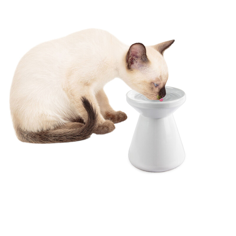 AFP Υπερυψωμένο Κεραμικό Μπώλ Για Νερό