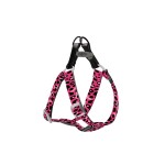 AFP Σαμαράκι Σκύλου Off Street Step in Λεοπάρ S