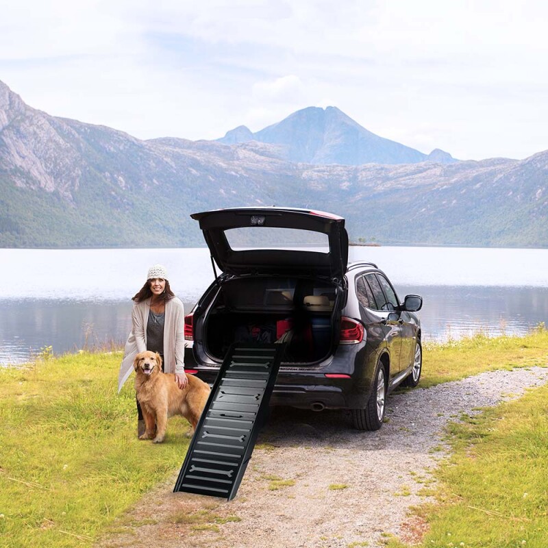 AFP Ράμπα Αυτοκινήτου