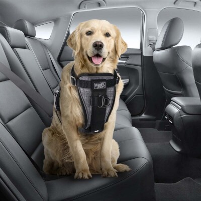 AFP Car Seat Harness