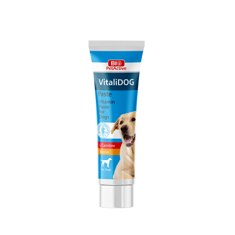 BIO PETACTIVE Vitalidog Paste (Multivitamin Paste for Dogs) 100ml
