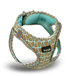 GLEE Harness Pattern Pizza Aqua | 2XS