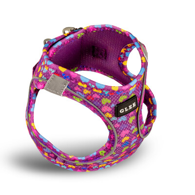 GLEE Harness Pattern Hearts Purple 3XS