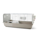 SAVIC Caesar4 Knock Down