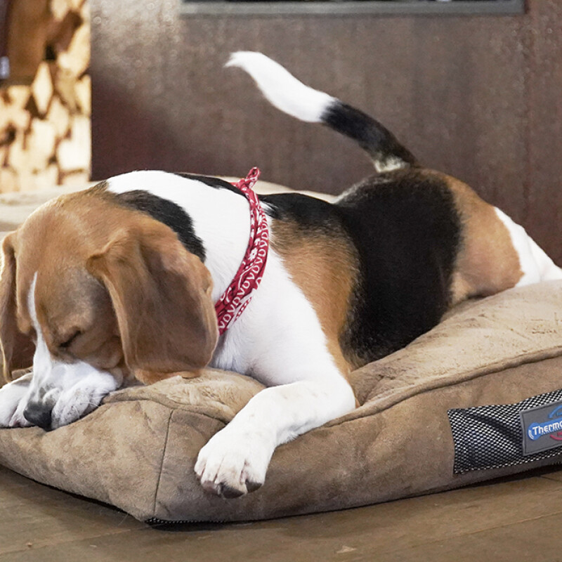 ThermoSwitch Στρώμα Milos Μπεζ XLarge